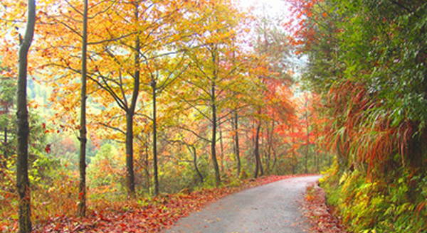 1414421806597093401.png blob.png